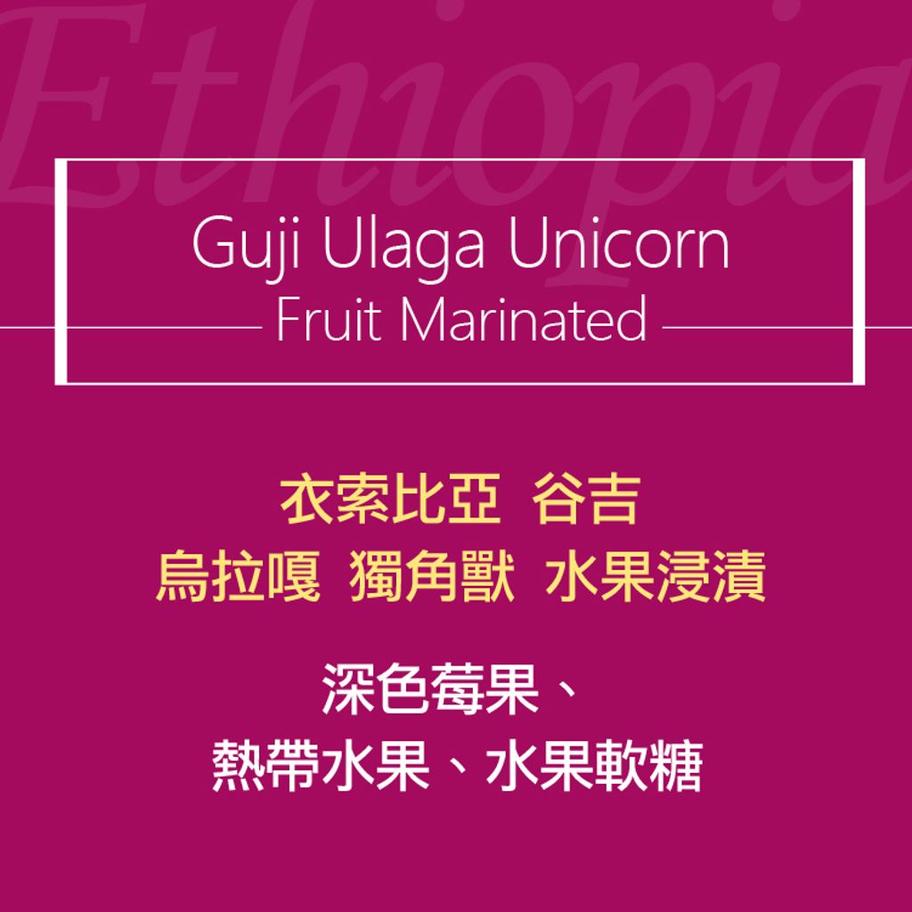 精品咖啡豆_衣索-谷吉烏拉嘎 獨角獸 水果浸漬-2