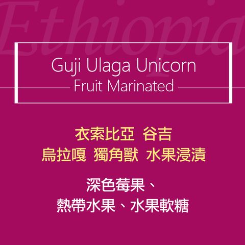 精品咖啡豆_衣索-谷吉烏拉嘎 獨角獸 水果浸漬-2