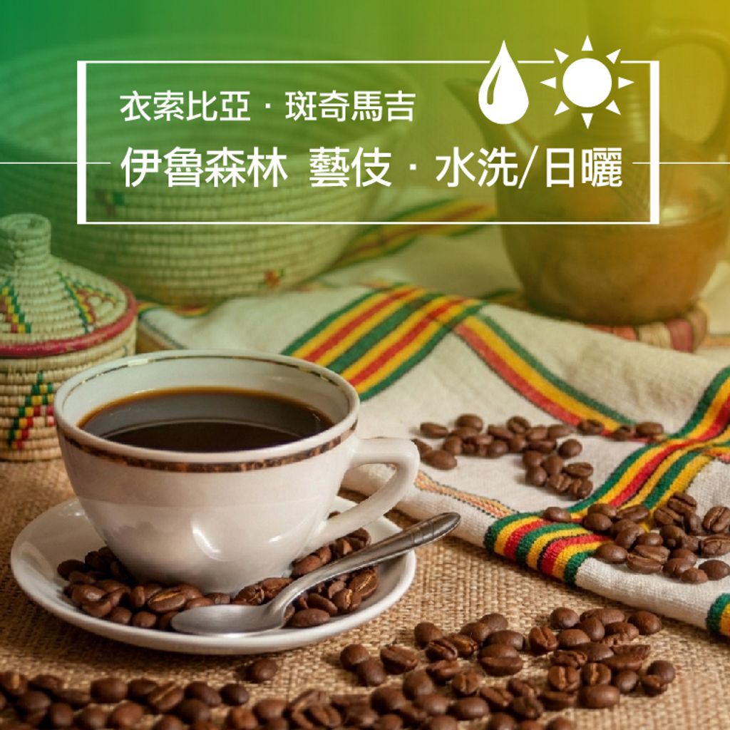 精品咖啡豆_衣索-伊魯森林藝伎 水洗-日曬-1