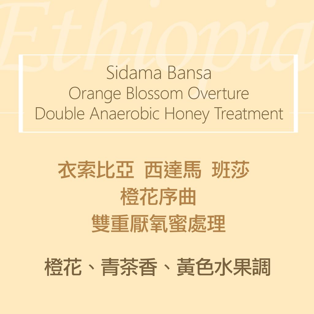 01-2.精品咖啡豆_橙花2