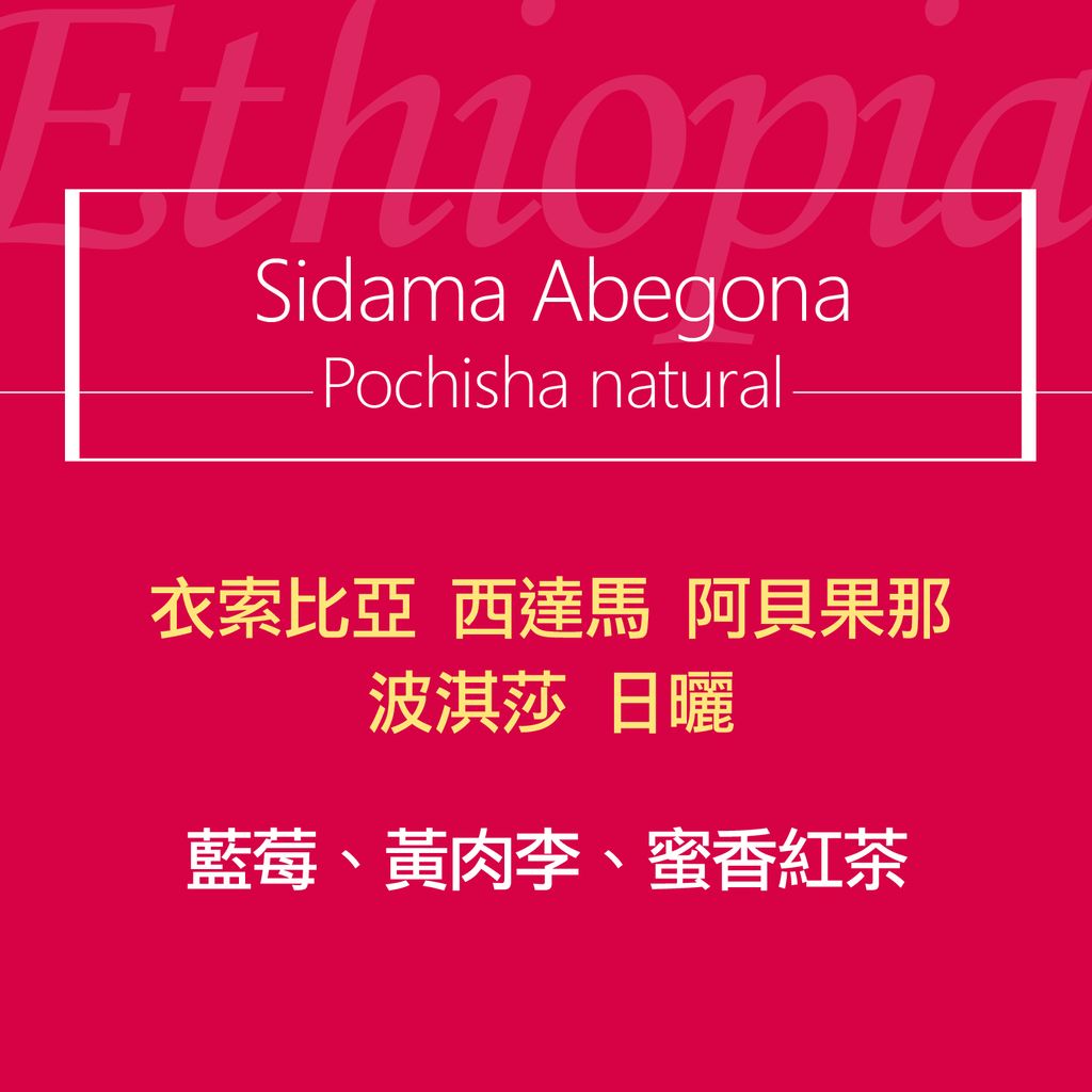 精品咖啡豆_波淇莎2