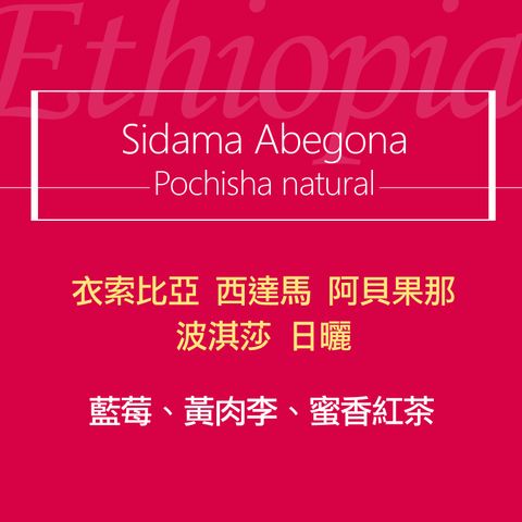 精品咖啡豆_波淇莎2