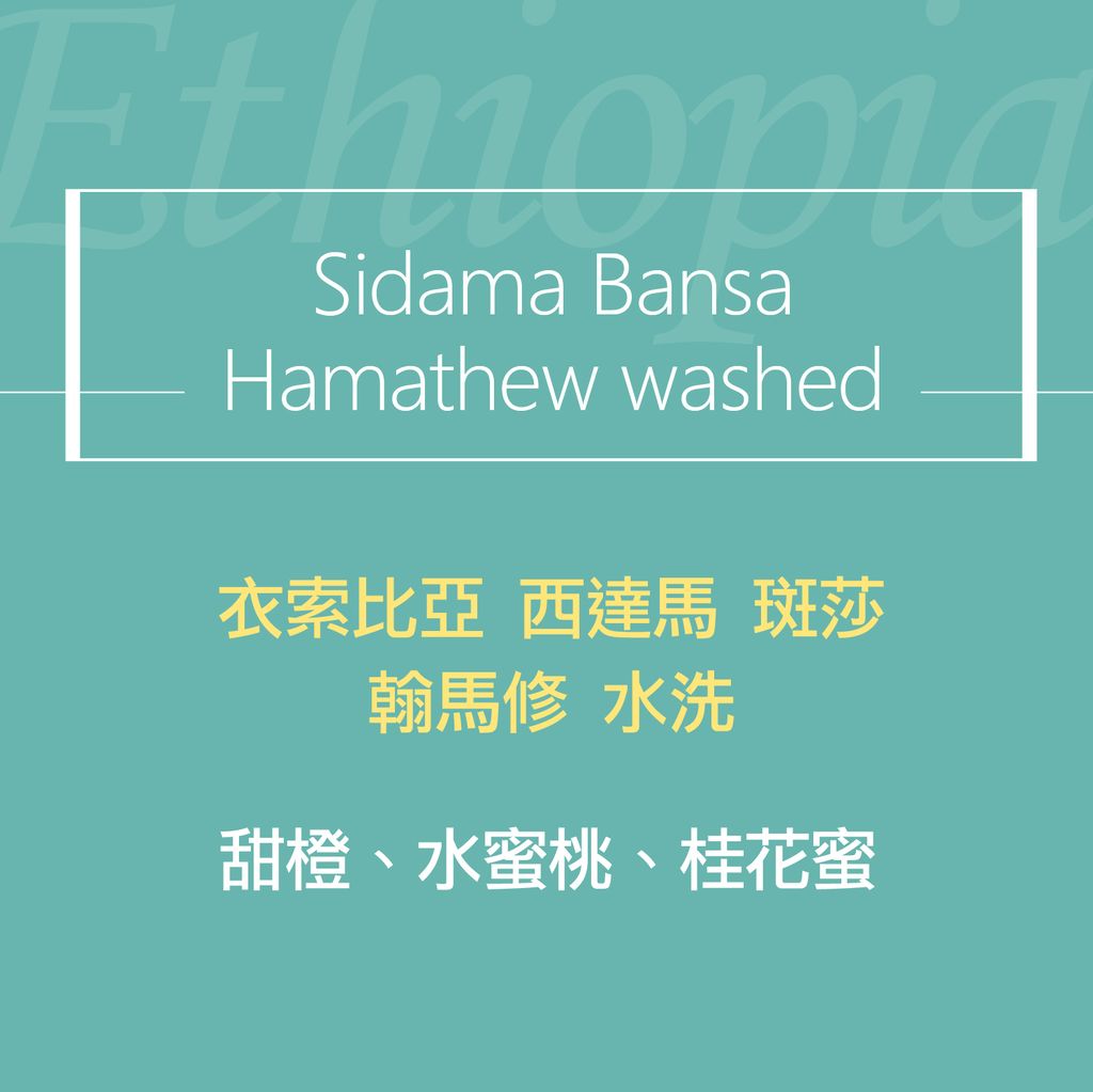 精品咖啡豆_翰馬修w2