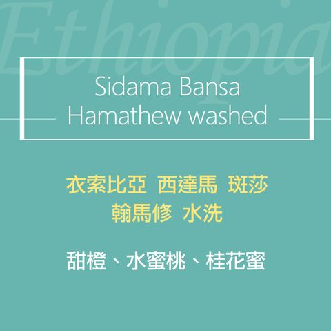 精品咖啡豆_翰馬修w2