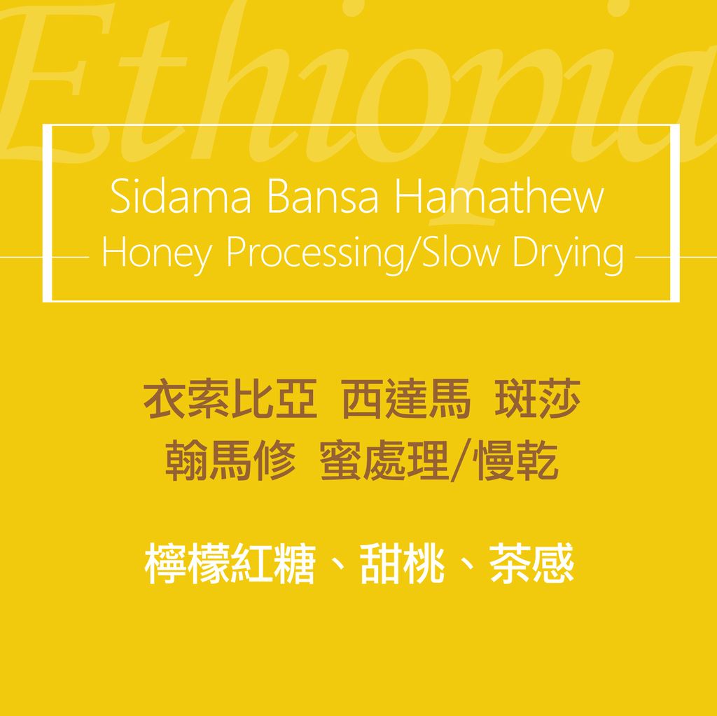 精品咖啡豆_翰馬修-蜜乾2