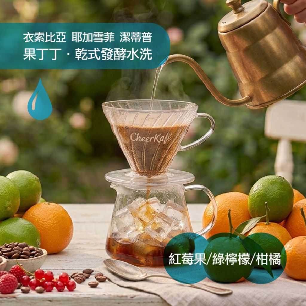 精品咖啡豆-2026.8改版_果丁丁乾式發酵水洗