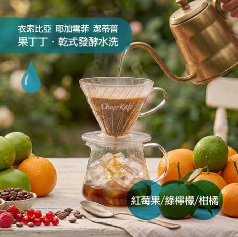 精品咖啡豆-2026.8改版_果丁丁乾式發酵水洗