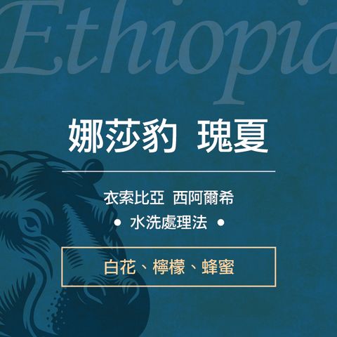 2025新版半磅袋-非洲動物系列_娜莎豹(河馬藍)