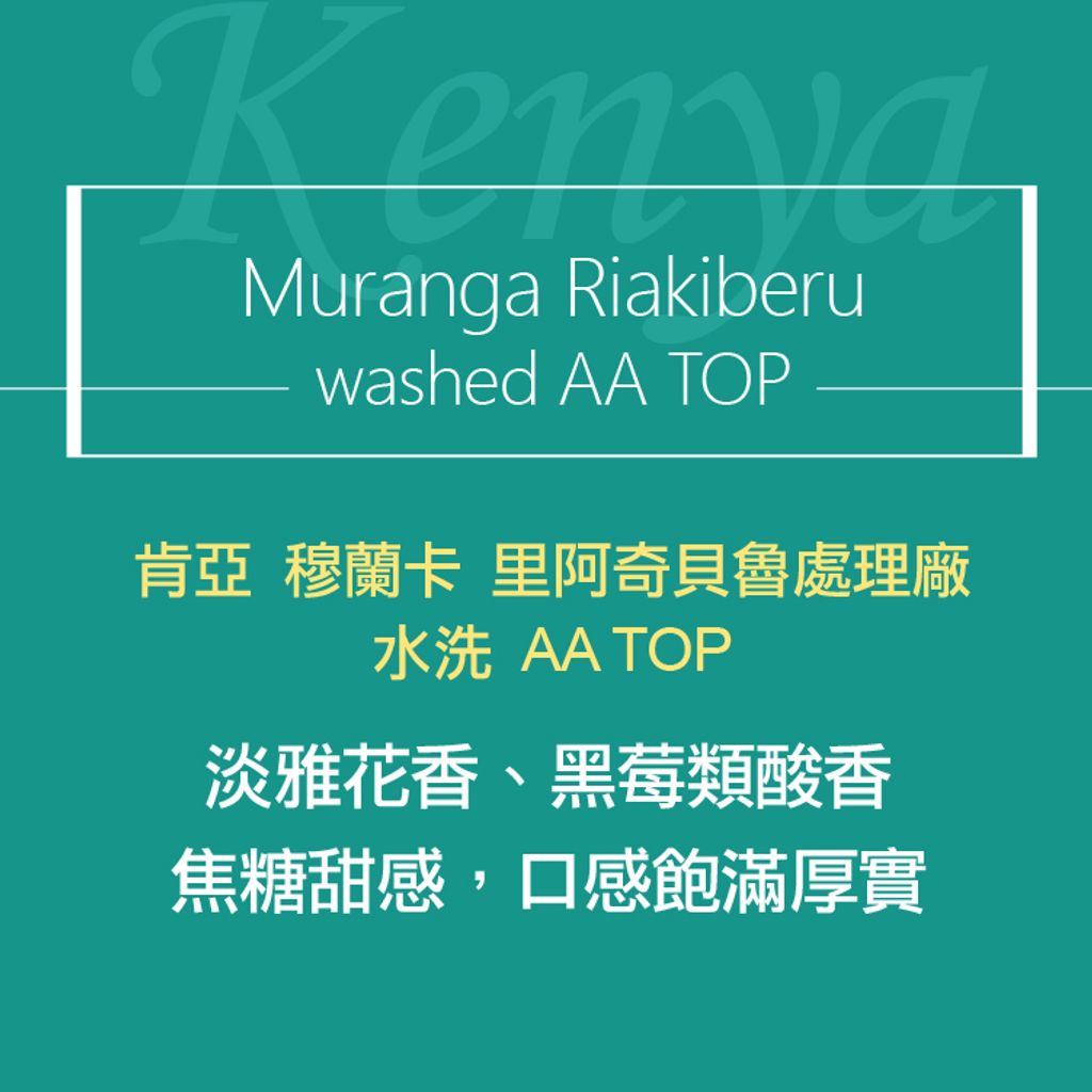 精品咖啡豆_肯亞-AA 水洗-2