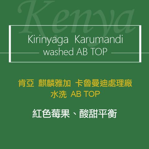 精品咖啡豆_肯亞-AB 卡魯 水洗-2
