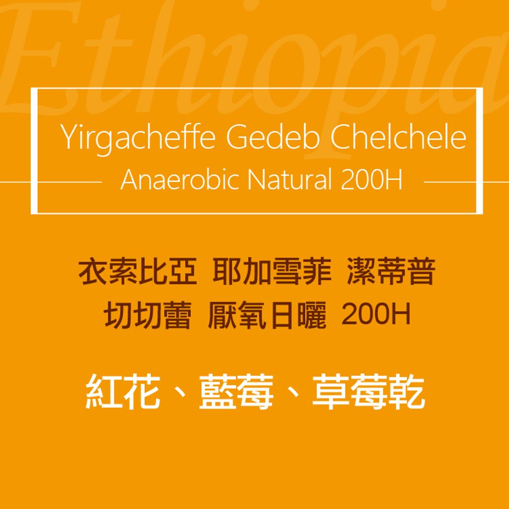 精品咖啡豆_衣索-切切蕾-厭氧日曬-2