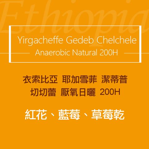 精品咖啡豆_衣索-切切蕾-厭氧日曬-2