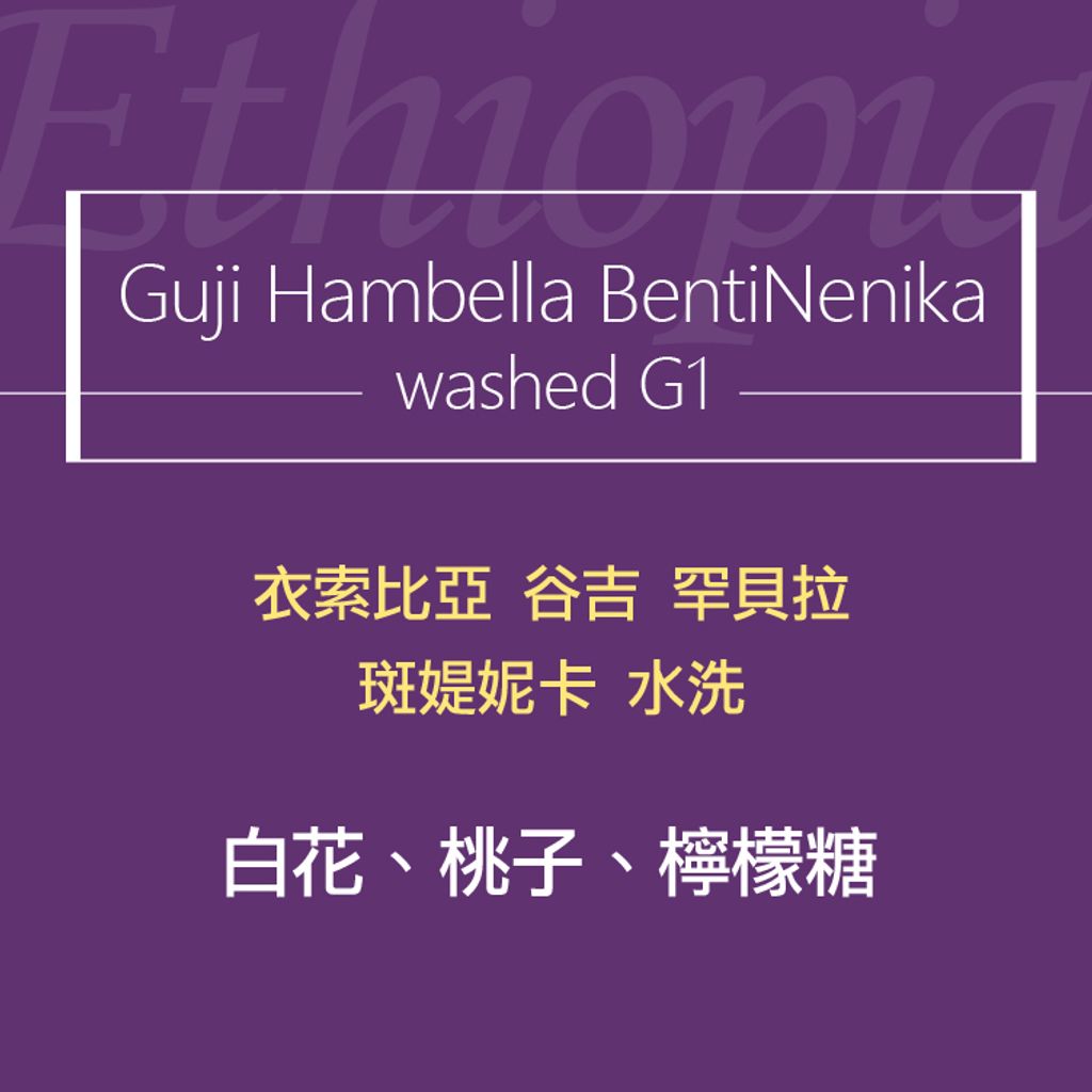 精品咖啡豆_衣索-斑媞妮卡 水洗-2