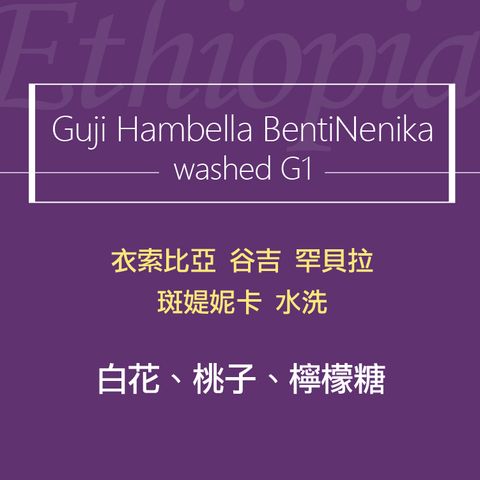 精品咖啡豆_衣索-斑媞妮卡 水洗-2