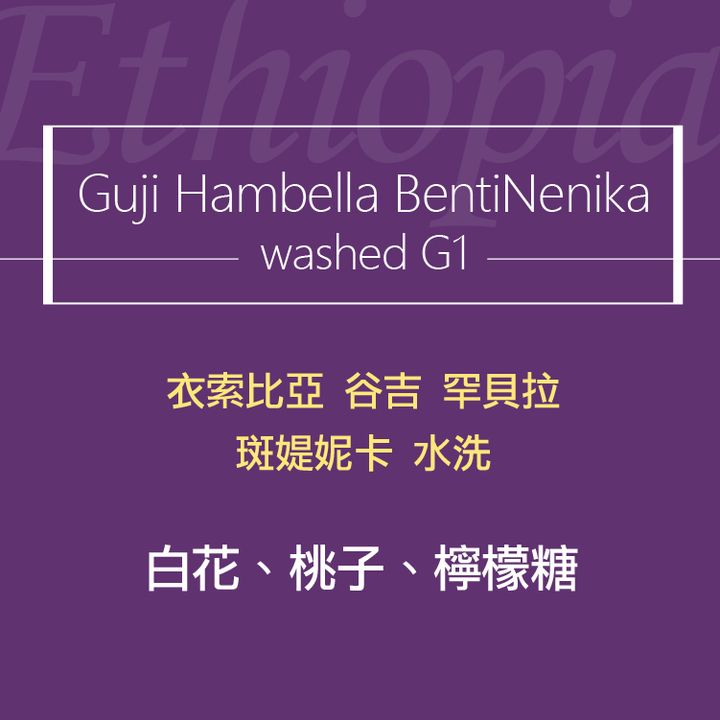 精品咖啡豆_衣索-斑媞妮卡 水洗-2