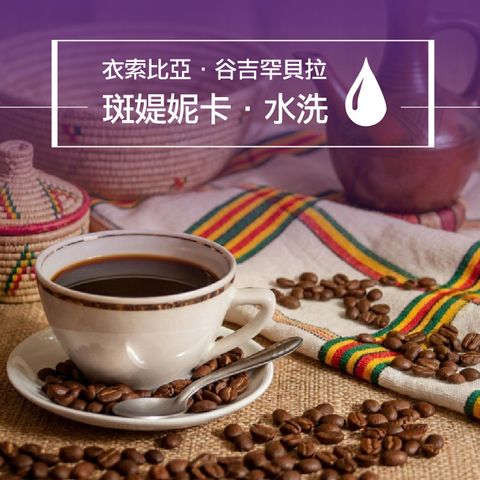 精品咖啡豆_衣索-斑媞妮卡 水洗-1