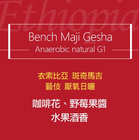 精品咖啡豆_衣索-藝伎 厭氧日曬-2