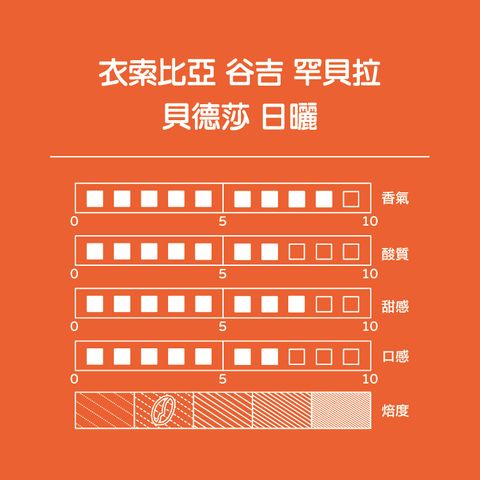 Easy Store商品照_貝德莎(都會女子)-2