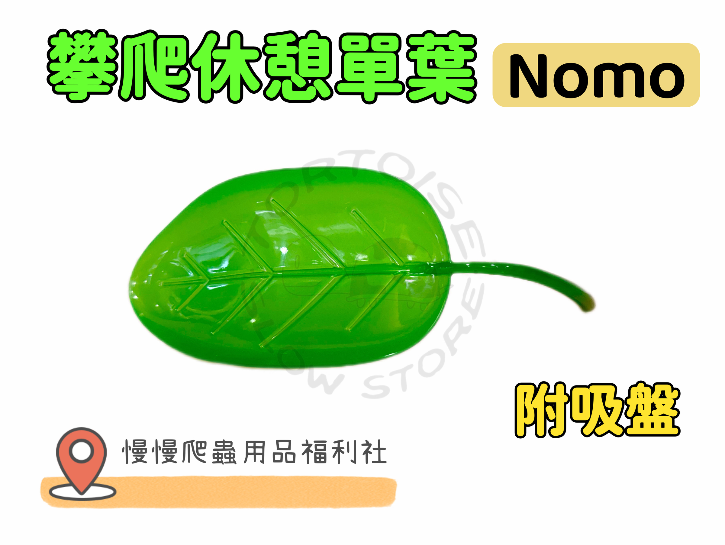 image_8C650116-F4EA-44CA-BC64-7D48D0C88113_1774518277