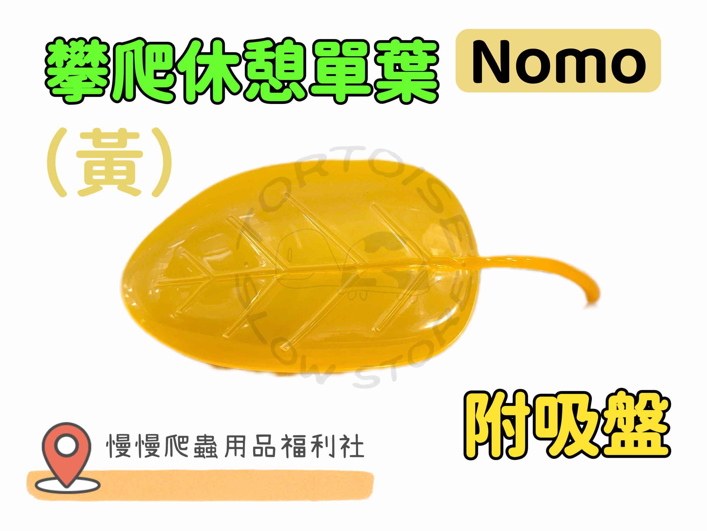 image_147560A9-1246-4E68-8848-FE6393F7242A_1774518292