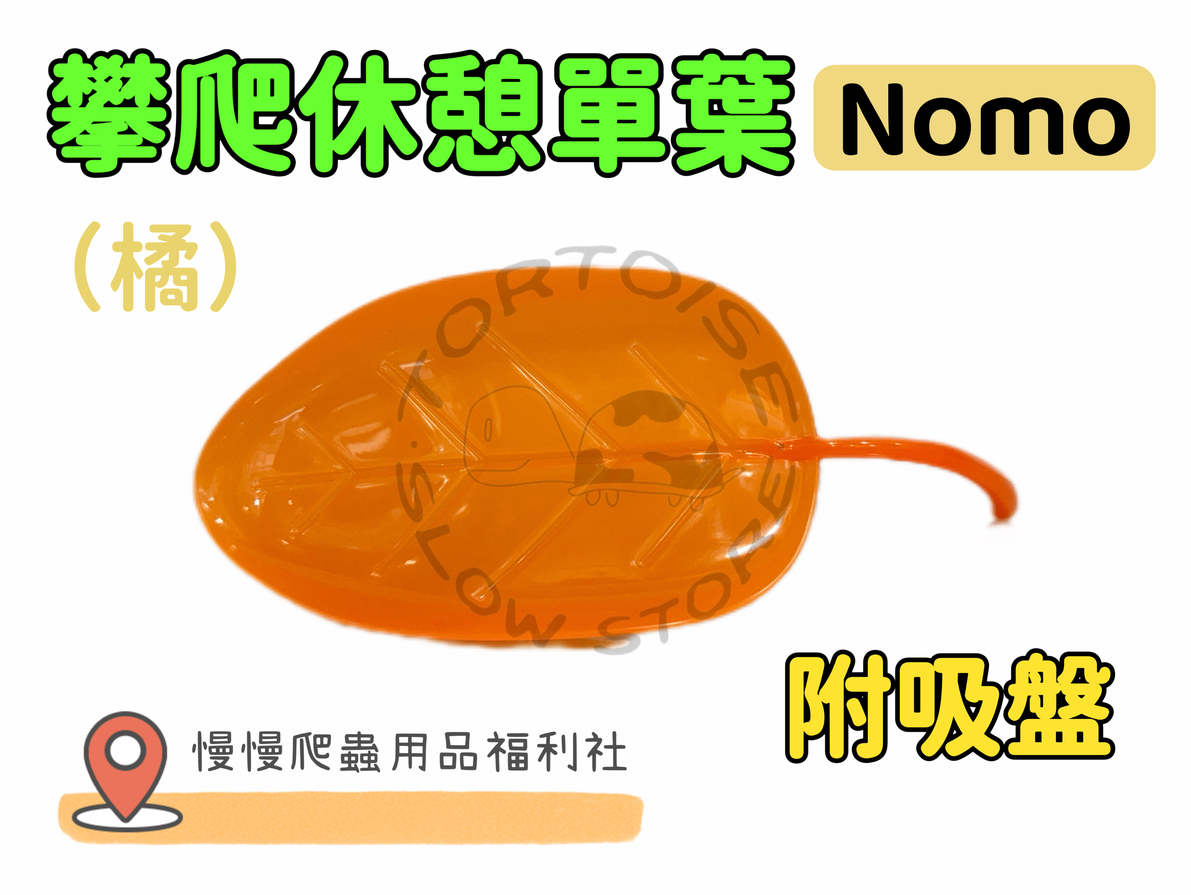 image_7A25385C-910B-40A4-A491-8D58F8987C7B_1774518311