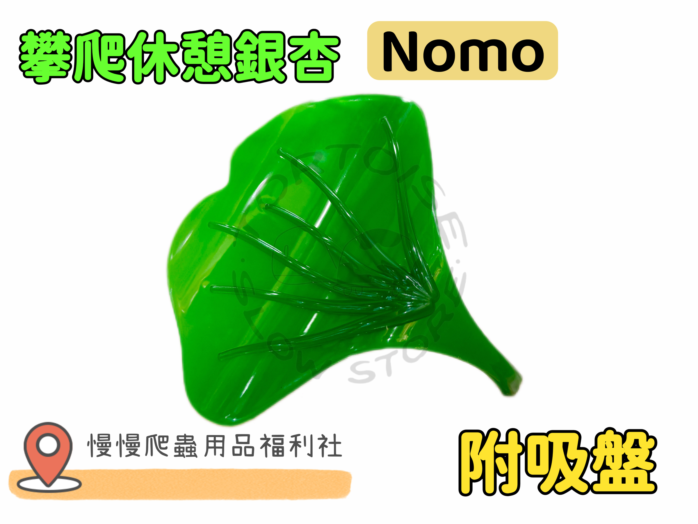 image_C0816745-8A64-4655-BD2F-EE3B7425A578_1774518338