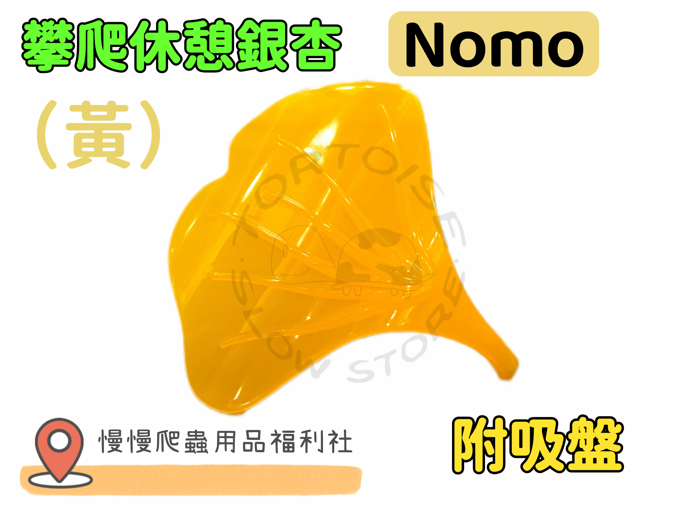 image_D0B573D4-F574-400F-9AC9-35622CE046F2_1774518348