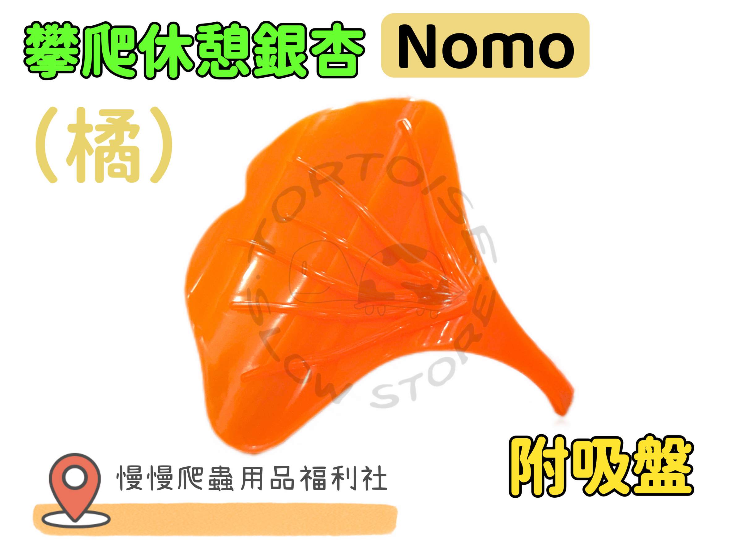 image_6BE9D014-5786-448A-9F6C-87D3DACD404B_1774518356