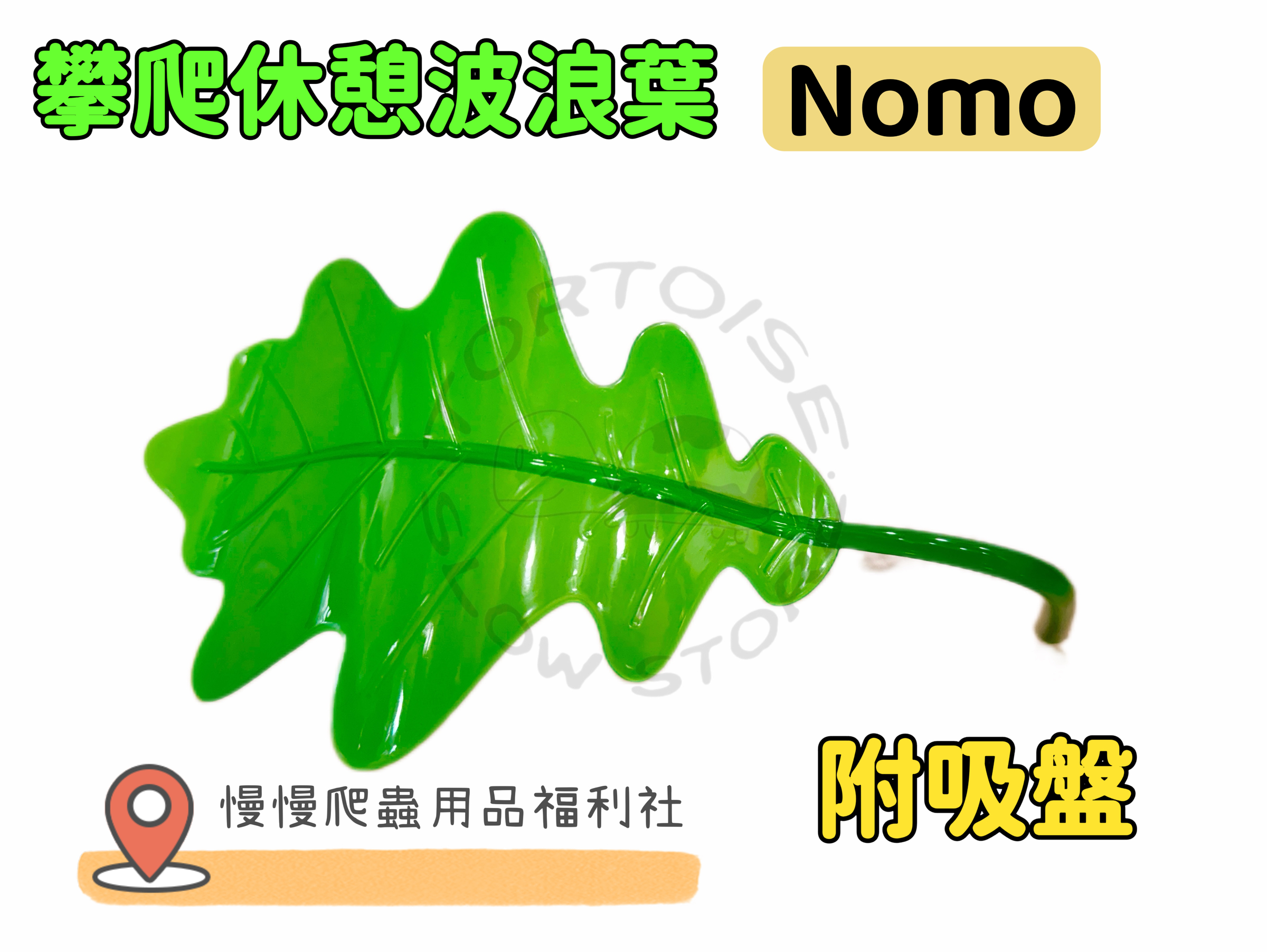 image_4B300255-97C0-4275-8B6D-530D5086737C_1774518367