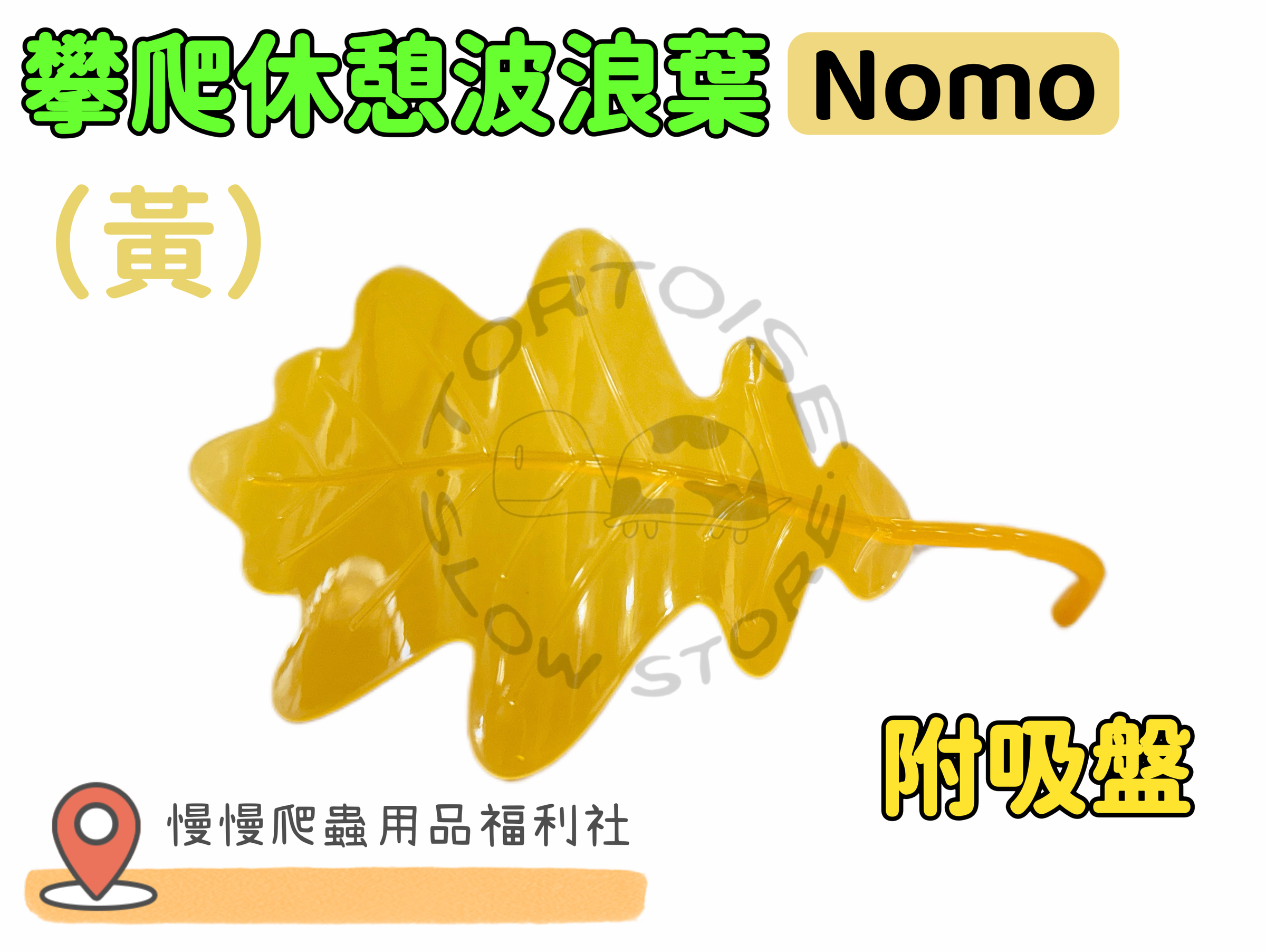 image_DB007B90-A3E2-479F-82C9-C77C34CBF419_1774518377