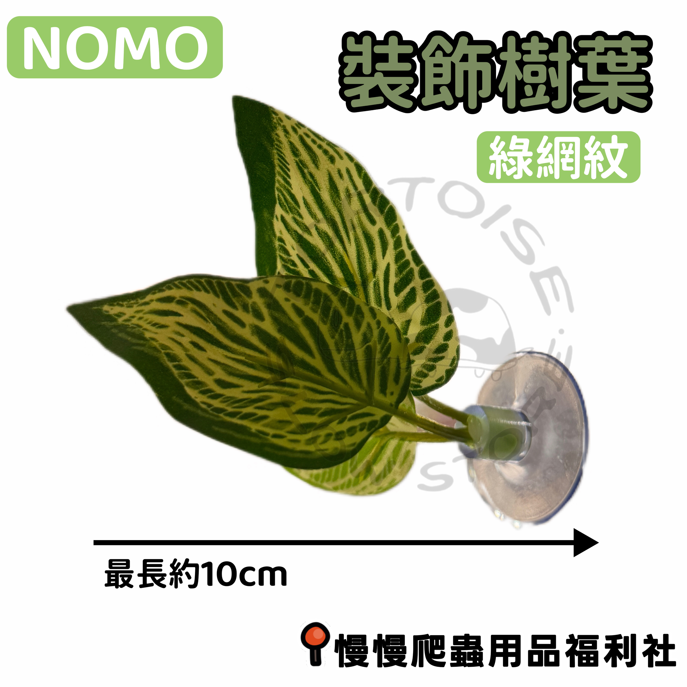image_6C25CF4B-9B96-46AE-9101-CBD775A5278C_1776673234