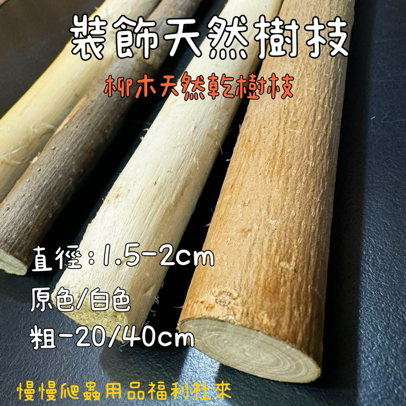 tw-11134207-7r98r-lnr1lf8aitjx67