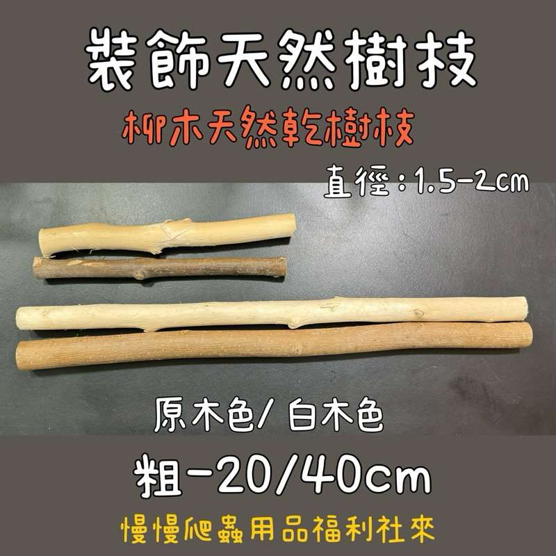 tw-11134207-7r990-lnr1lf8a3db15a