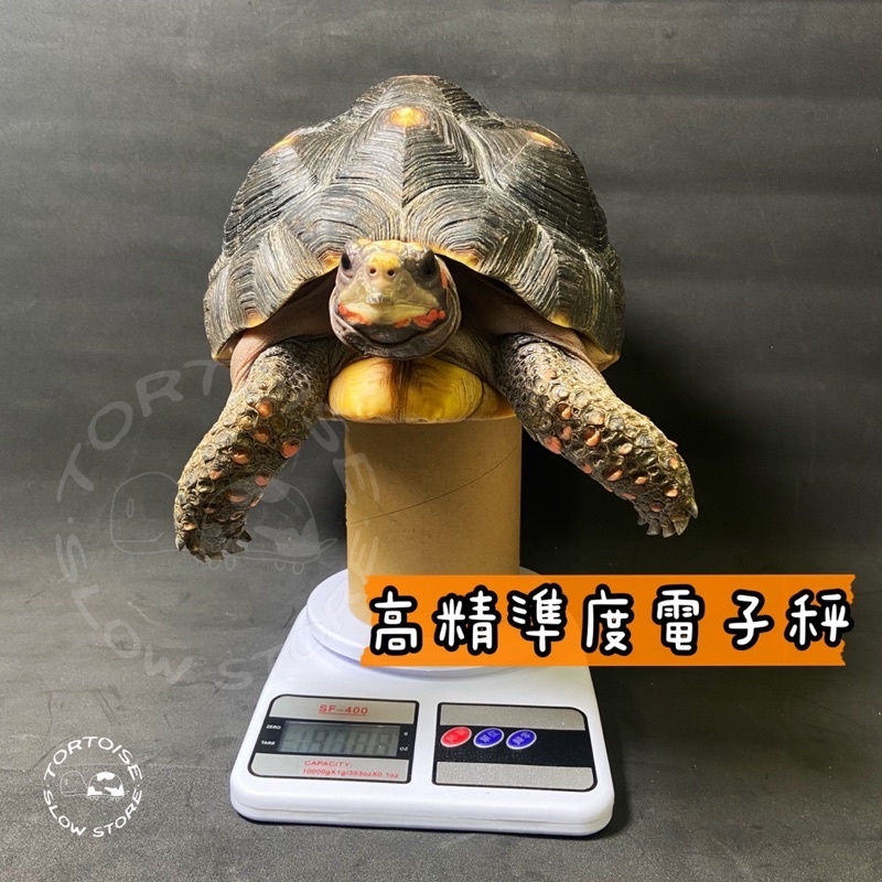 49fd2655574727ad5bb9f44fd96cd946