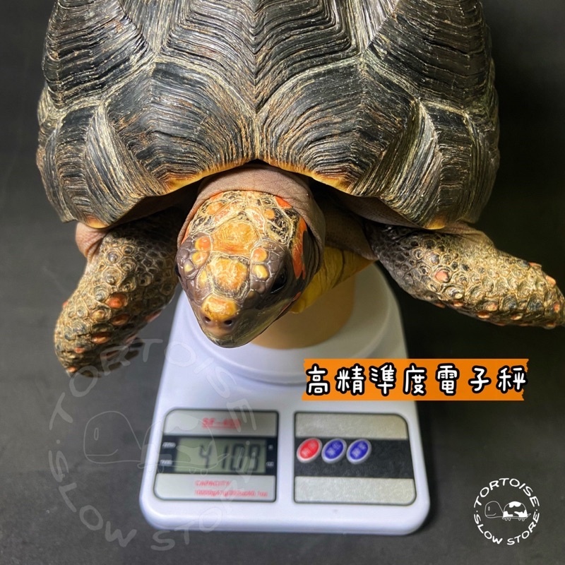 30bc9cfa4f4c01da75682074878e6fa9