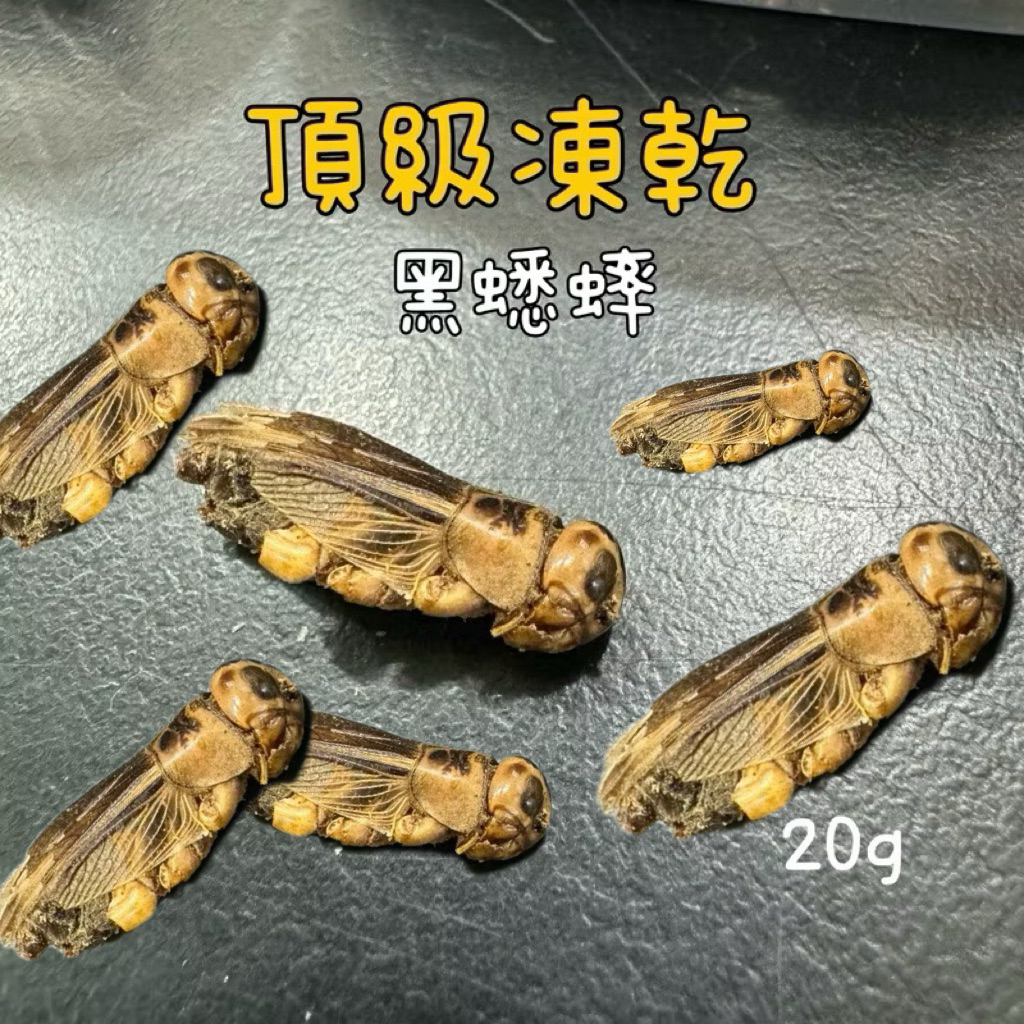 tw-11134207-7ra0s-mb4xbshvjvnd04