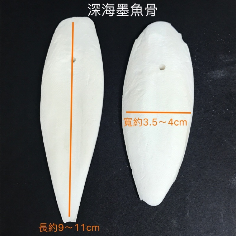 c0ec0199ef432a6f44c2b446b20277c6