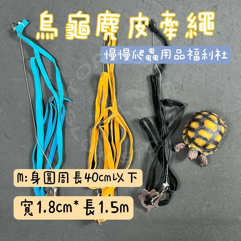 9c641da60aab89513de04da6ba9572c8