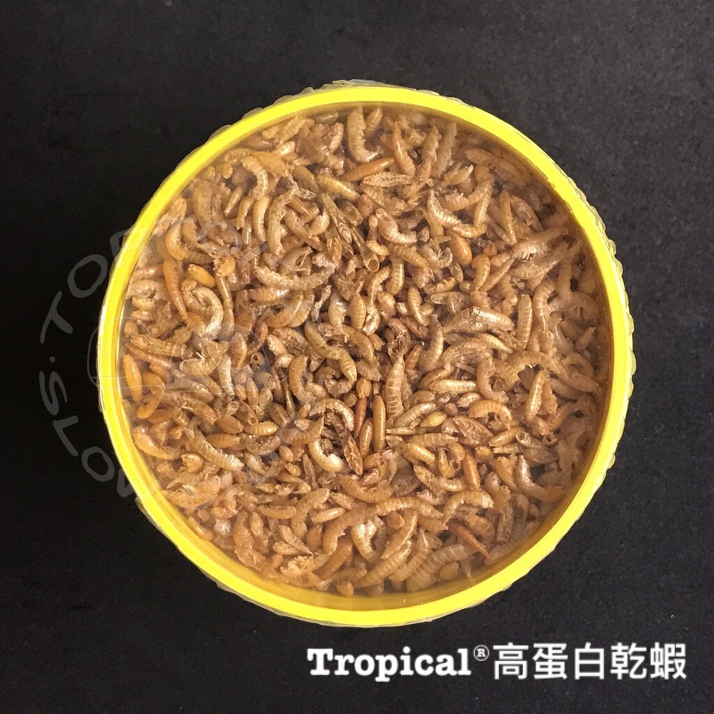 a0e4f70dcd4a381704f80fddf5c08718