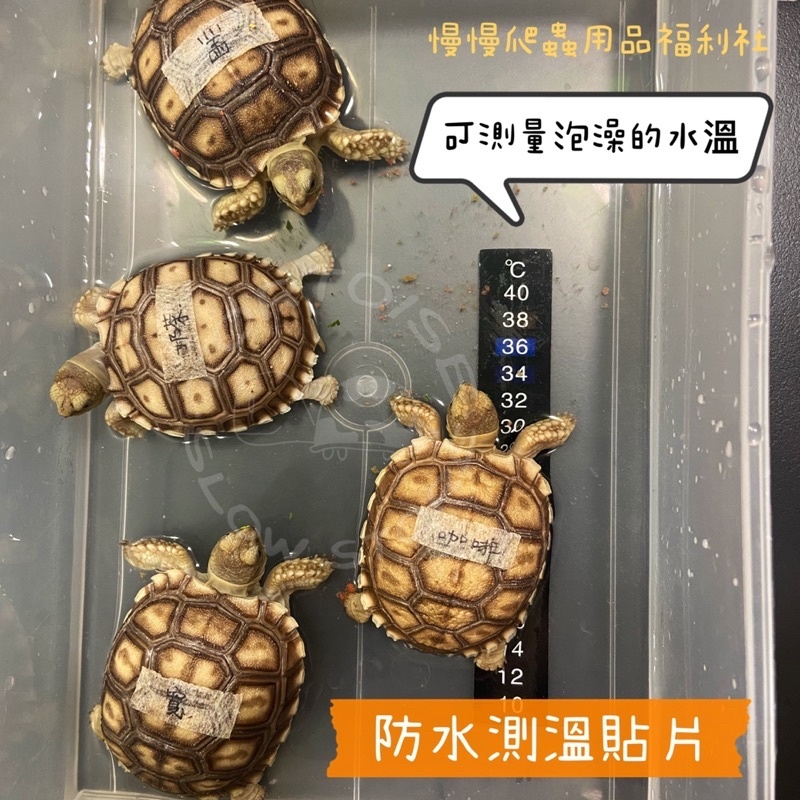 ff30e9a43869076a39e7886a8e1d0c51