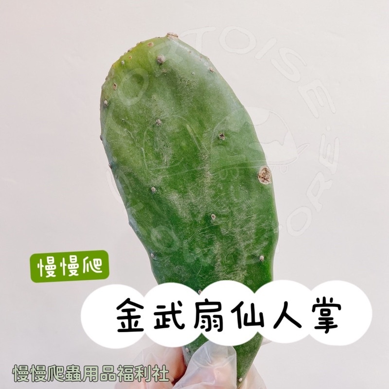 f2b8a9158d69e5caafbda435ab1cc40b