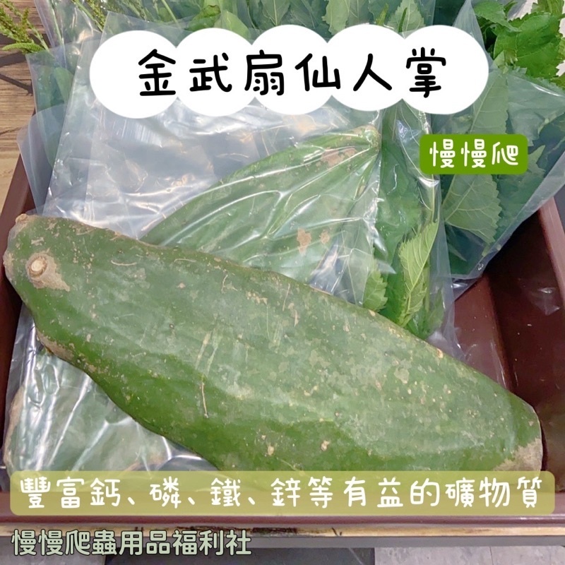 4ab4ba616e025cd26b90956146c05f45