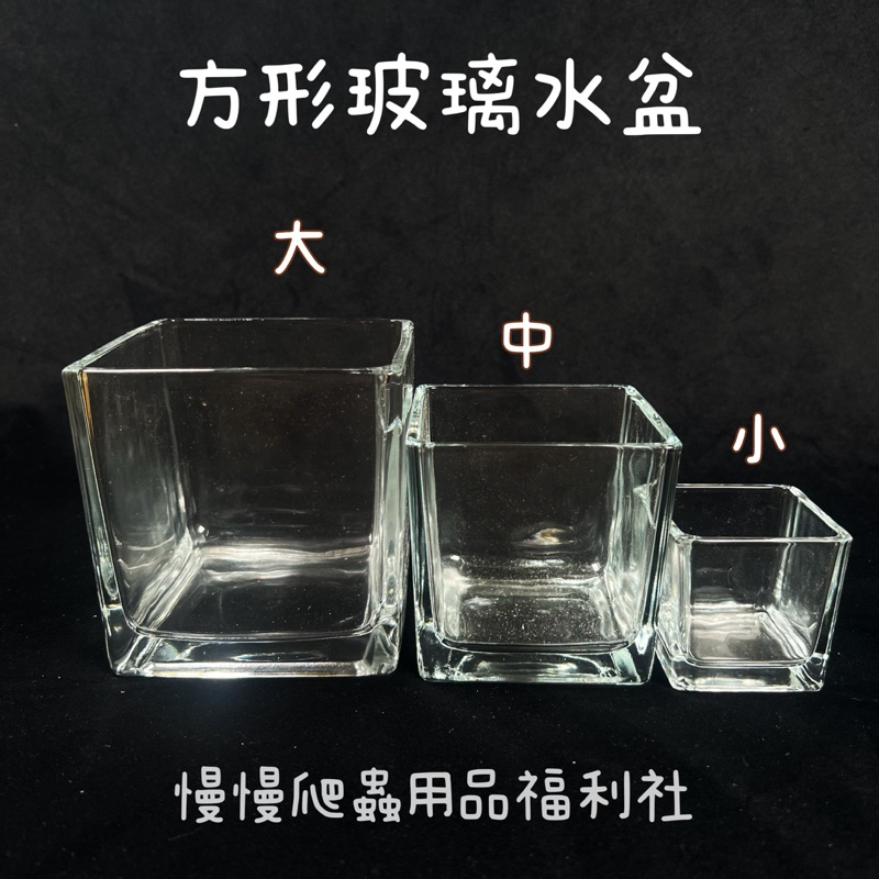 tw-11134207-7qul0-lgp3k8qeqr6x5e