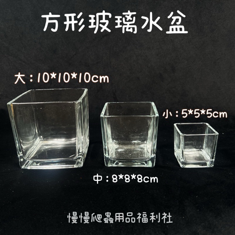 tw-11134207-7rbk4-m8wqocy5oc8614