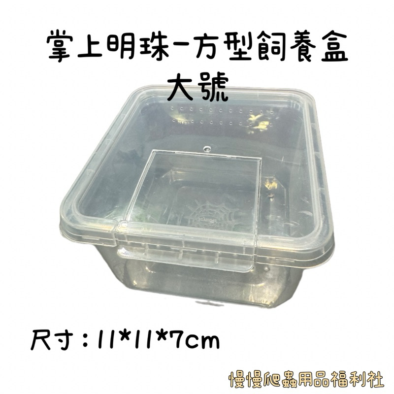 tw-11134207-7r98o-lyp4knn6qrry83