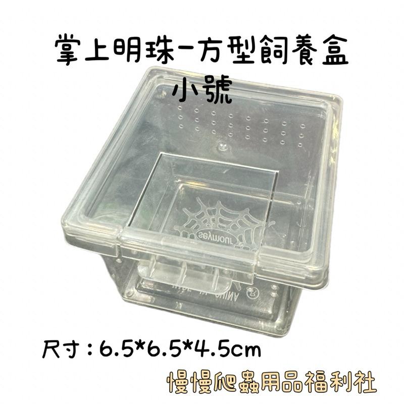 tw-11134207-7r991-lyp51et038c485