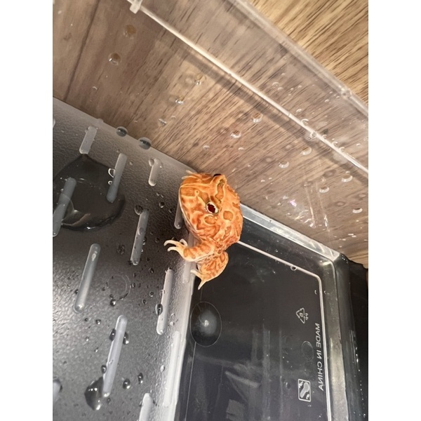 35a7dfe460f28eb003ae58bfa54b6b74