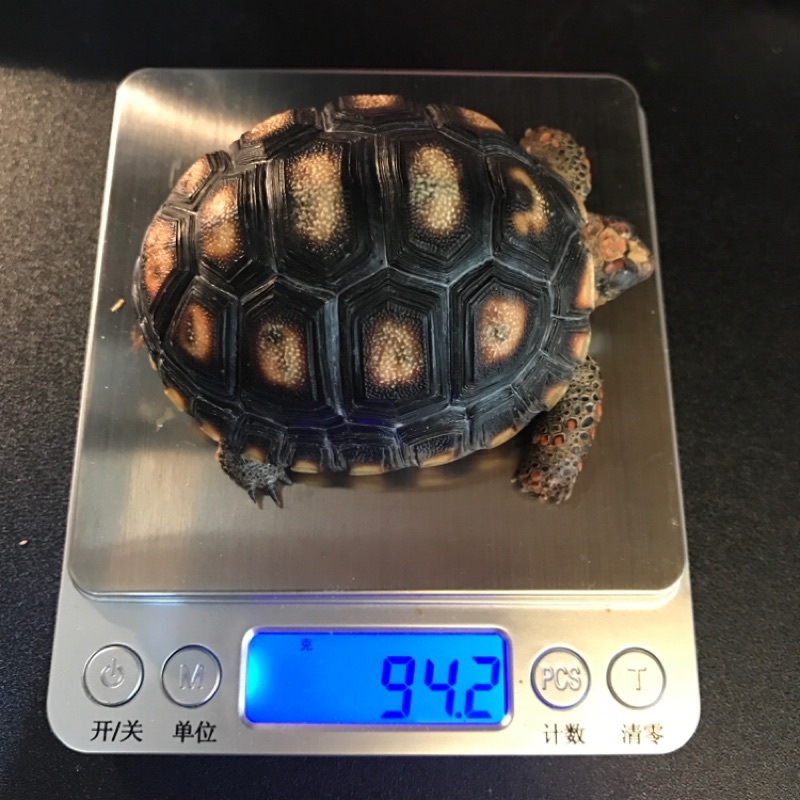 6924c4ea7470335966a11fdf3fceebb2