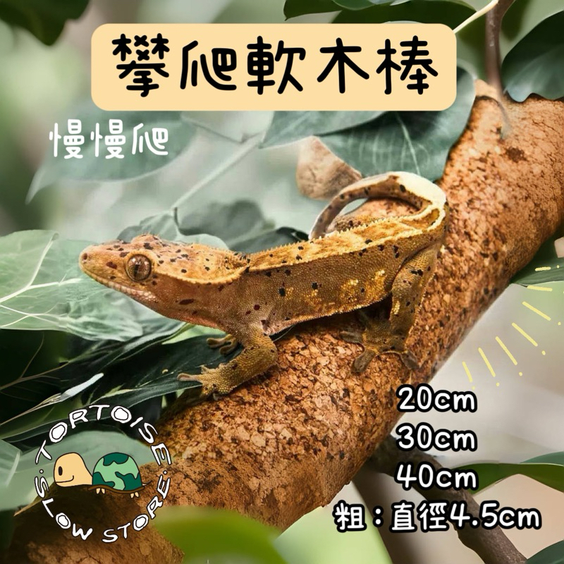 tw-11134207-7rbk8-m9o94o4yrh0mcc