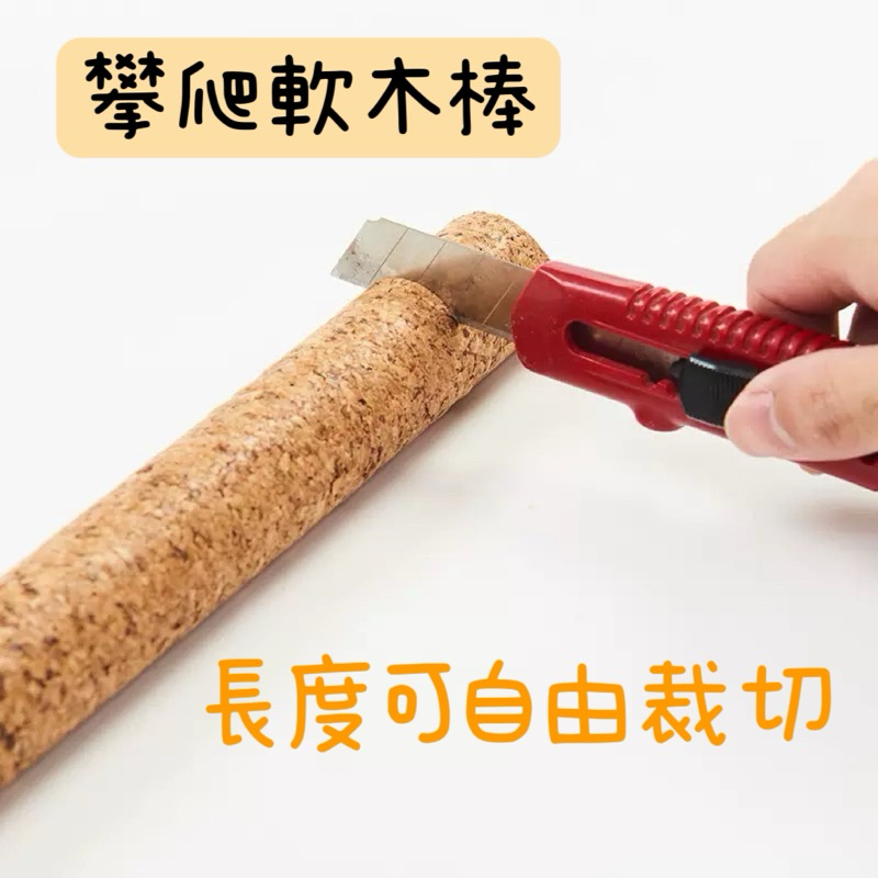 tw-11134207-7rbk7-m9o94o9yirc69d